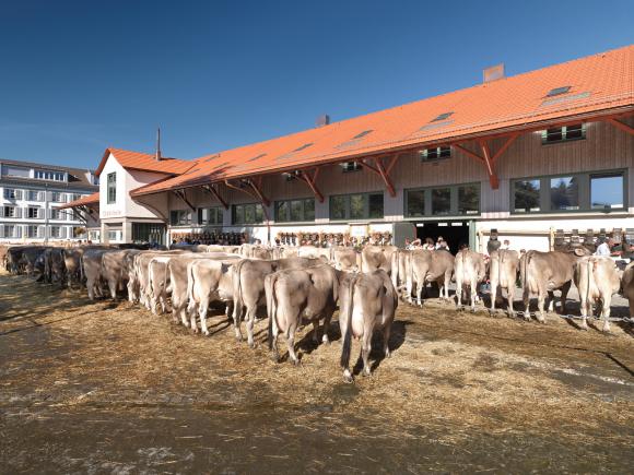 Viehmarkt / Ansicht von Südosten | Foto: Jürg Zürcher, St.Gallen